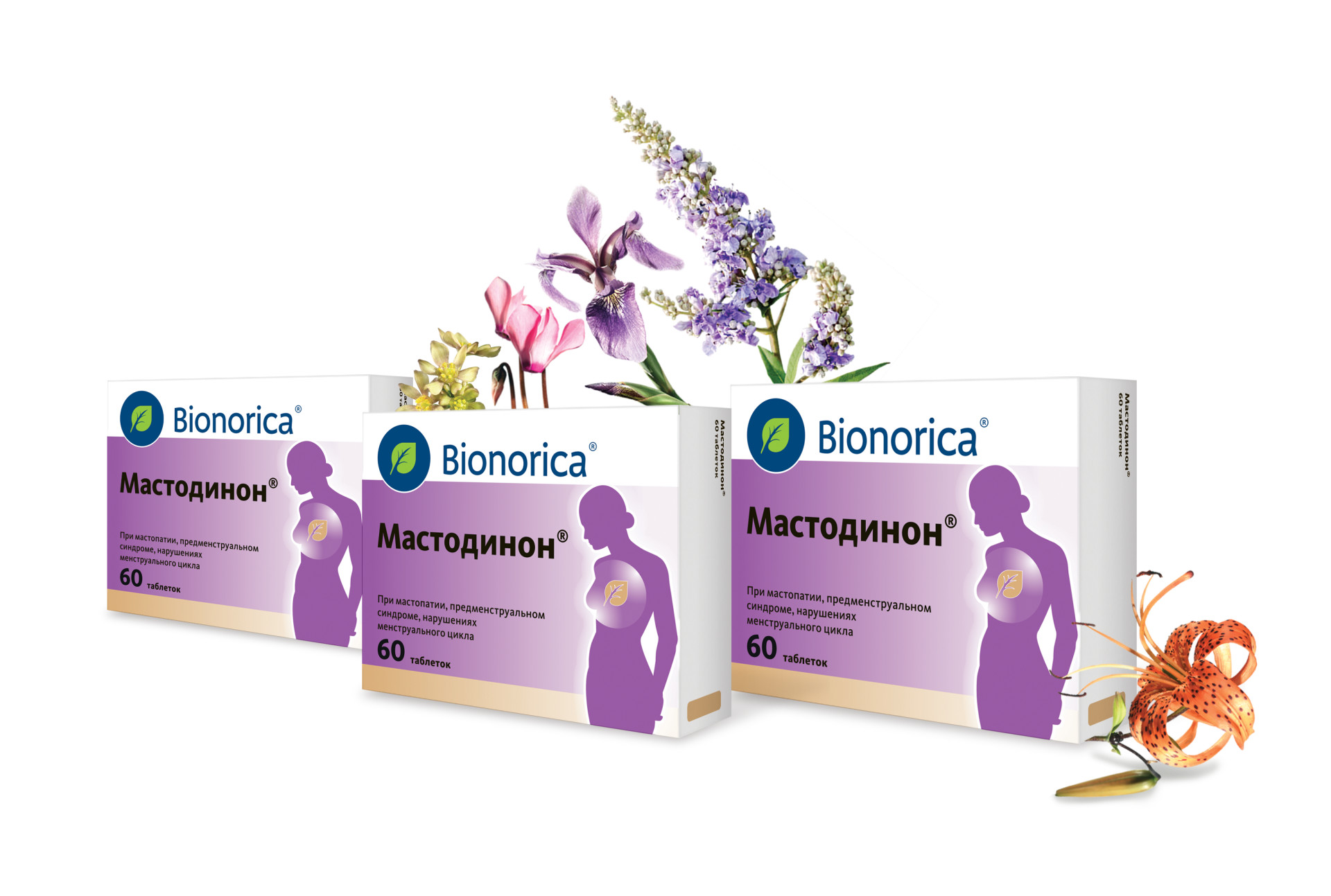 Мастодинон таблетки гомеопатические №60   по цене от 681 .