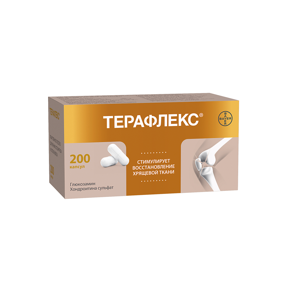 Терафлекс капсулы №200 купить в Москве по цене от 4140 рублей