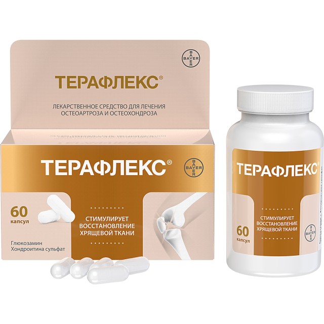Терафлекс капсулы №60 купить в Москве по цене от 1430 рублей