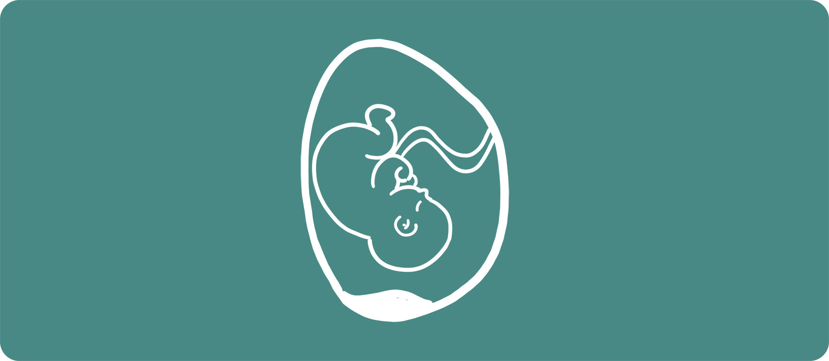 Низкая плацента при беременности 🌺 – Юнона